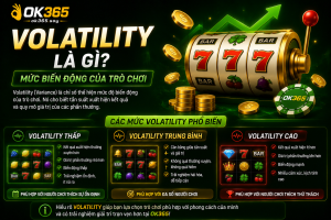 Volatility là chỉ số thể hiện mức độ biến động của trò chơi.
